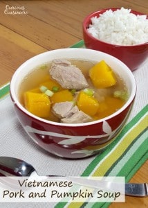 Vietnamese Pumpkin Soup with Pork • Curious Cuisiniere