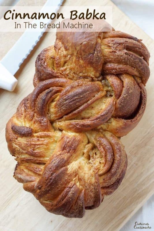 Cinnamon Babka Bread Recipe Bread Machine • Curious Cuisiniere