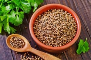 What is the difference between cilantro and coriander? • Curious Cuisiniere