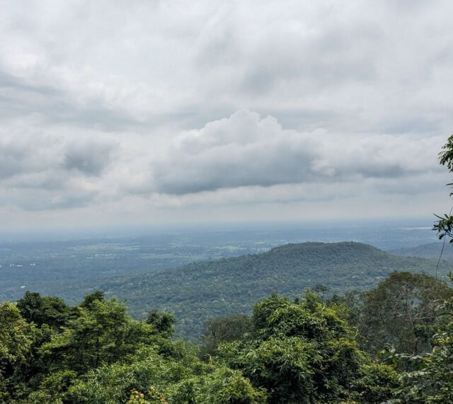 Jungle in Sakon Nakhon, central Isan, Thailand