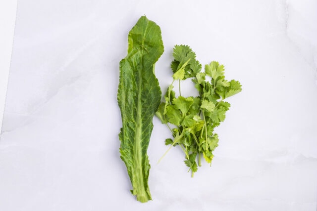 Culantro (left) vs cilantro (right)